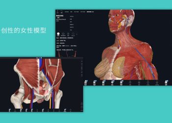 Complete Anatomy 11.0.0 for Mac