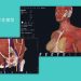 Complete Anatomy 11.0.0 for Mac